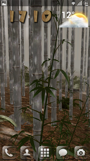 Screenshot dello Schermo Bamboo grove 3D sul cellulare e tablet.
