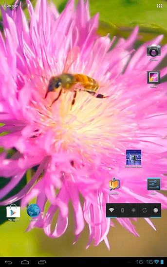 Screenshot dello Schermo Bee on a clover flower 3D sul cellulare e tablet.