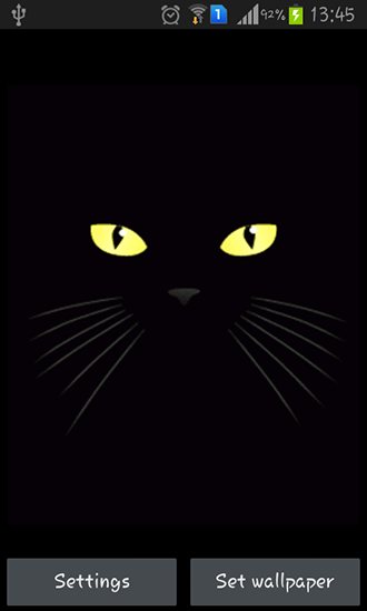 Screenshot dello Schermo Black cat sul cellulare e tablet.