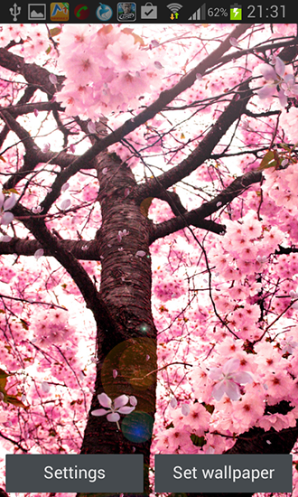 Screenshot dello Schermo Cherry blossom by Creative factory wallpapers sul cellulare e tablet.