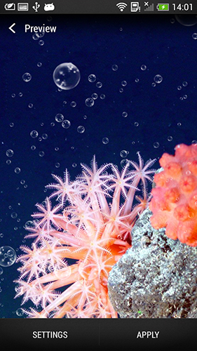 Screenshot dello Schermo Coral reef sul cellulare e tablet.