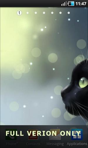 Screenshot dello Schermo Curious cat sul cellulare e tablet.