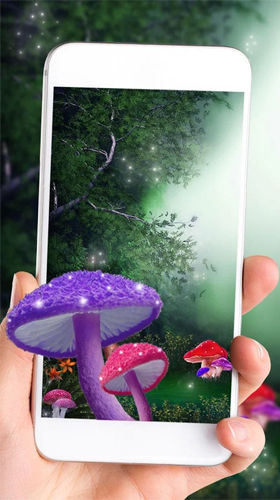 Cute mushroom