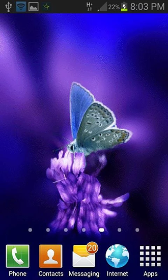 Screenshot dello Schermo Cute butterfly by Daksh apps sul cellulare e tablet.