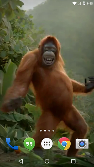 Screenshot dello Schermo Dancing monkey sul cellulare e tablet.