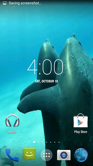 Screenshot dello Schermo Dolphins HD sul cellulare e tablet.