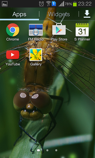 Screenshot dello Schermo Dragonfly sul cellulare e tablet.