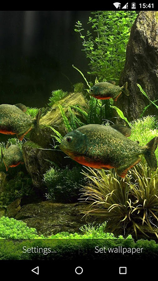 Screenshot dello Schermo Fish aquarium 3D sul cellulare e tablet.