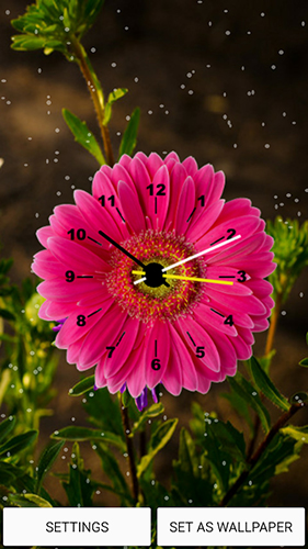 Screenshot dello Schermo Flowers clock sul cellulare e tablet.