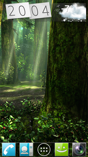 Screenshot dello Schermo Forest HD sul cellulare e tablet.