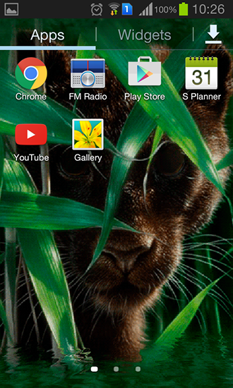Screenshot dello Schermo Forest panther sul cellulare e tablet.