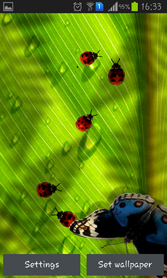 Screenshot dello Schermo Friendly bugs sul cellulare e tablet.