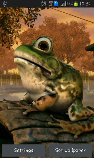 Screenshot dello Schermo Frog 3D sul cellulare e tablet.