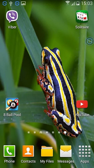 Screenshot dello Schermo Frogs: shake and change sul cellulare e tablet.