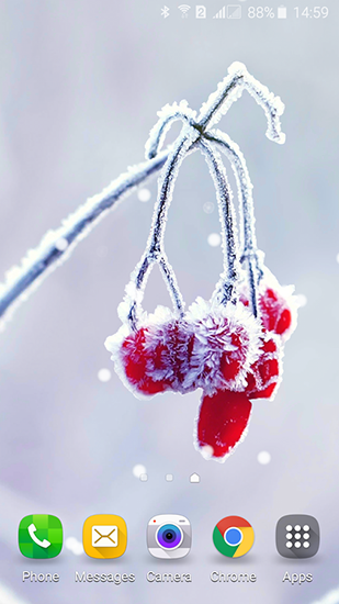 Screenshot dello Schermo Frozen beauty: Winter tale sul cellulare e tablet.