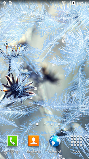 Screenshot dello Schermo Frozen flowers sul cellulare e tablet.
