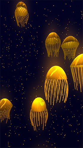 Jellyfish 3D by Womcd