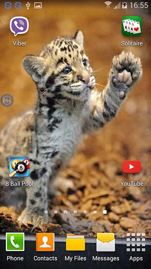 Screenshot dello Schermo Leopards: shake and change sul cellulare e tablet.