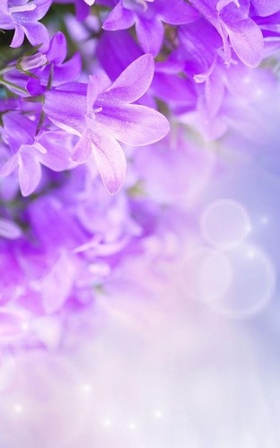 Screenshot dello Schermo Lilac flowers sul cellulare e tablet.