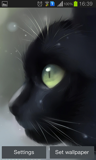 Screenshot dello Schermo Lonely black kitty sul cellulare e tablet.