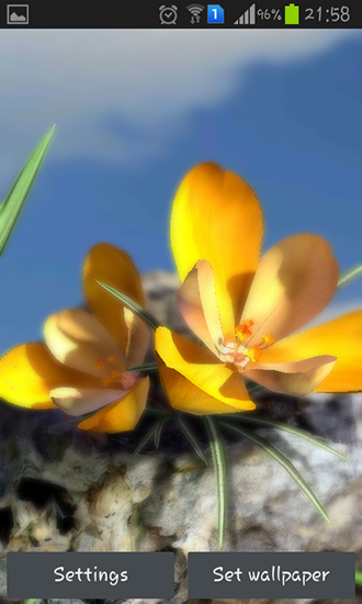 Screenshot dello Schermo Nature live: Spring flowers 3D sul cellulare e tablet.