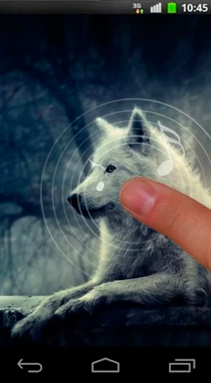 Screenshot dello Schermo Night wolves sul cellulare e tablet.