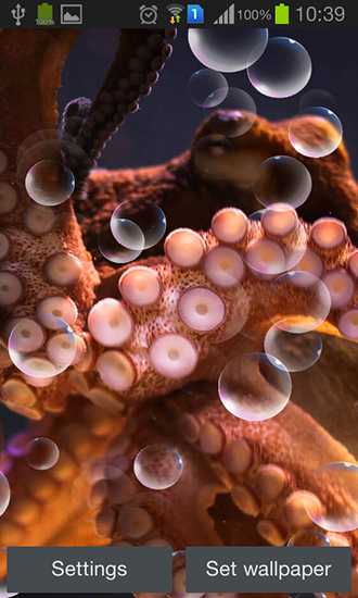 Screenshot dello Schermo Octopus sul cellulare e tablet.