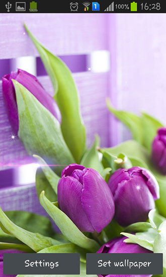 Screenshot dello Schermo Purple tulips sul cellulare e tablet.