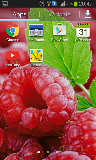 Screenshot dello Schermo Raspberries sul cellulare e tablet.