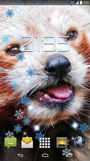 Screenshot dello Schermo Red panda sul cellulare e tablet.