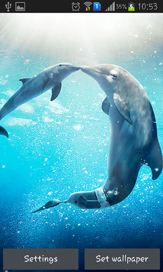 Screenshot dello Schermo Sea dolphin sul cellulare e tablet.