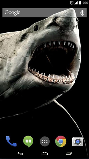 Screenshot dello Schermo Shark 3D sul cellulare e tablet.