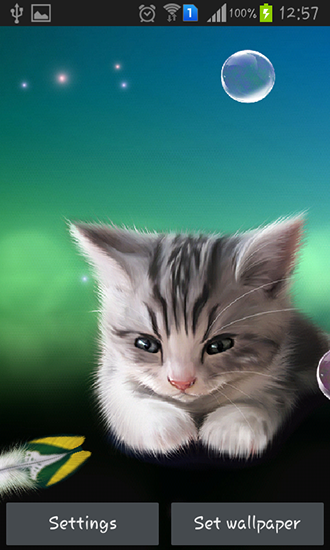 Screenshot dello Schermo Sleepy kitten sul cellulare e tablet.