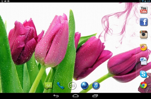Screenshot dello Schermo Spring rain sul cellulare e tablet.
