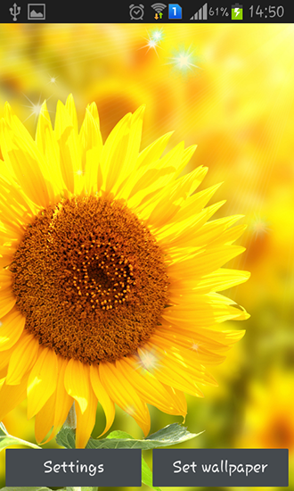 Screenshot dello Schermo Sunflower by Creative factory wallpapers sul cellulare e tablet.