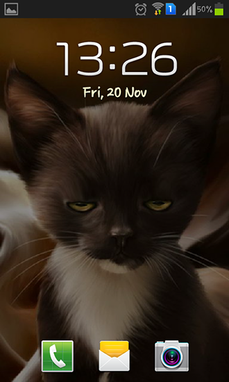 Screenshot dello Schermo Surprised kitty sul cellulare e tablet.