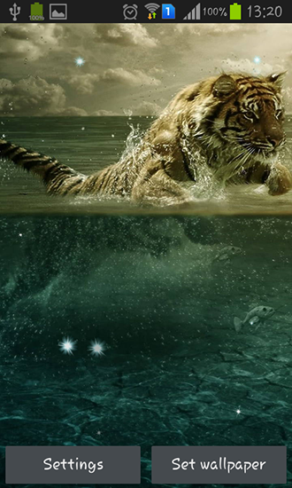 Screenshot dello Schermo Tigers sul cellulare e tablet.