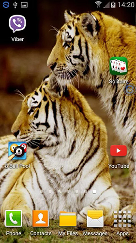 Screenshot dello Schermo Tigers: shake and change sul cellulare e tablet.