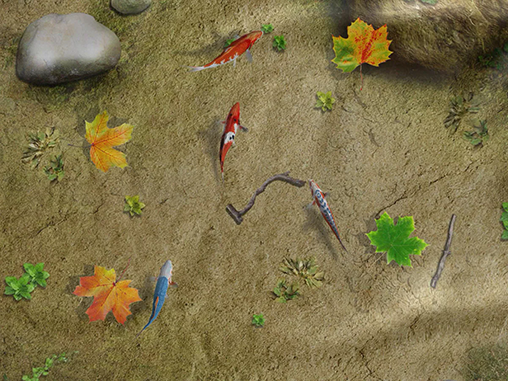 Screenshot dello Schermo Water koi fish pond sul cellulare e tablet.
