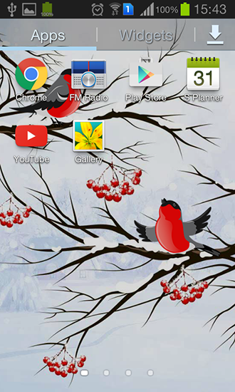 Screenshot dello Schermo Winter: Bullfinch sul cellulare e tablet.