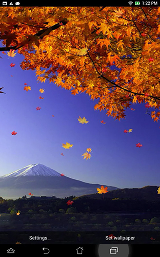 Falling leaves by Top Live Wallpapers