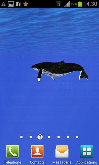 Ocean: Whale