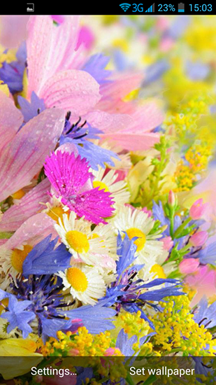 Summer Flowers by Dynamic Live Wallpapers