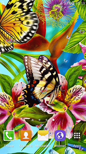 Butterfly by Free Wallpapers and Backgrounds
