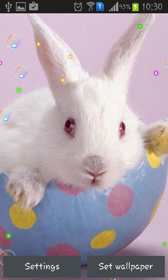 Easter bunnies 2015