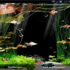 Oltre sfondi animati su Android My 3D fish, scarica apk gratis Aquarium by minatodev.