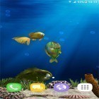 Oltre sfondi animati su Android Dreamcatcher by Niceforapps, scarica apk gratis Aquarium fish 3D by BlackBird Wallpapers.