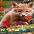 Oltre sfondi animati su Android Lotus by Latest Live Wallpapers, scarica apk gratis Autumn by Amax LWPS.
