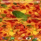Oltre sfondi animati su Android Audio glow, scarica apk gratis Autumn Leaves.