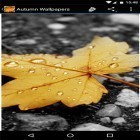 Oltre sfondi animati su Android Sharks, scarica apk gratis Autumn wallpapers by Infinity.